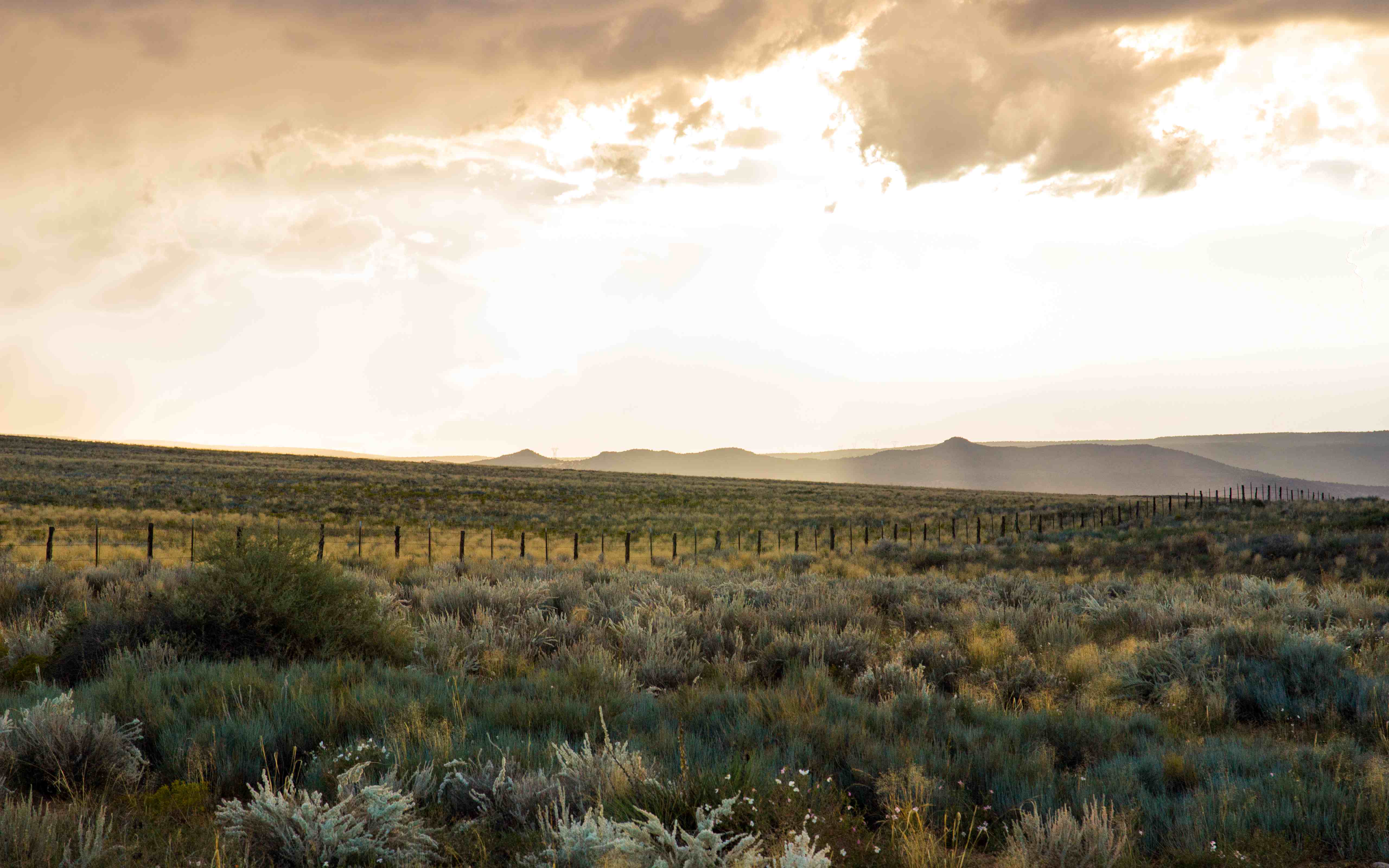 润乾报表设置预警条件和动态背景色